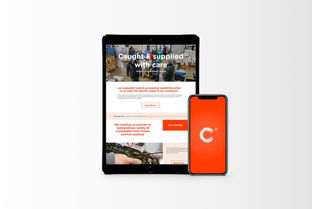 萬域品牌形象設(shè)計 以清潔與現(xiàn)代理念重塑生鮮食品企業(yè)新形象